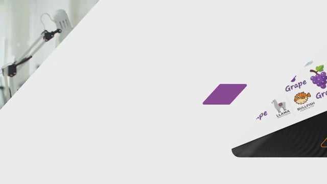 Digital Factory 12 Gang Sheet Builder