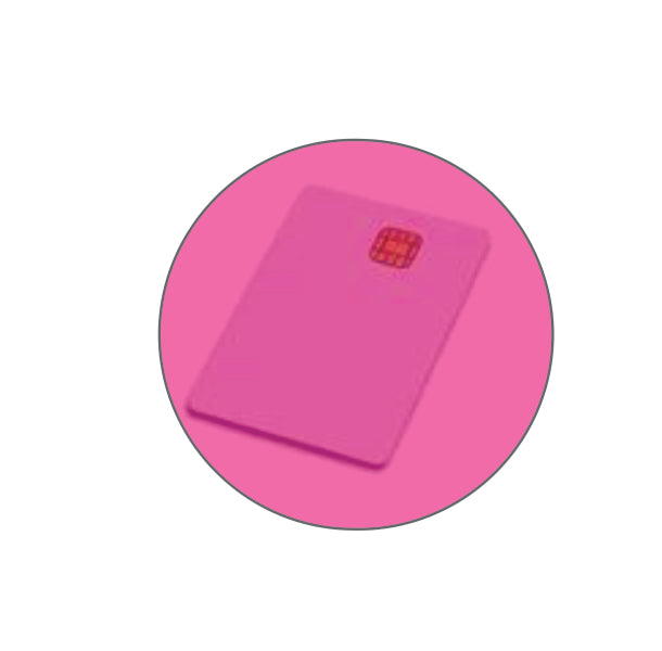 Mutoh Chips
