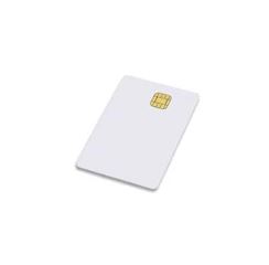 Mutoh Chips