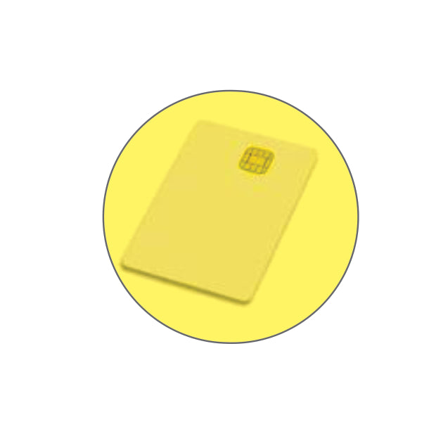 Mutoh Chips